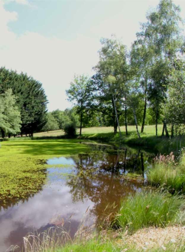 Domaine Des Grandes Landes Villa Saint-Paul-la-Roche Bagian luar foto